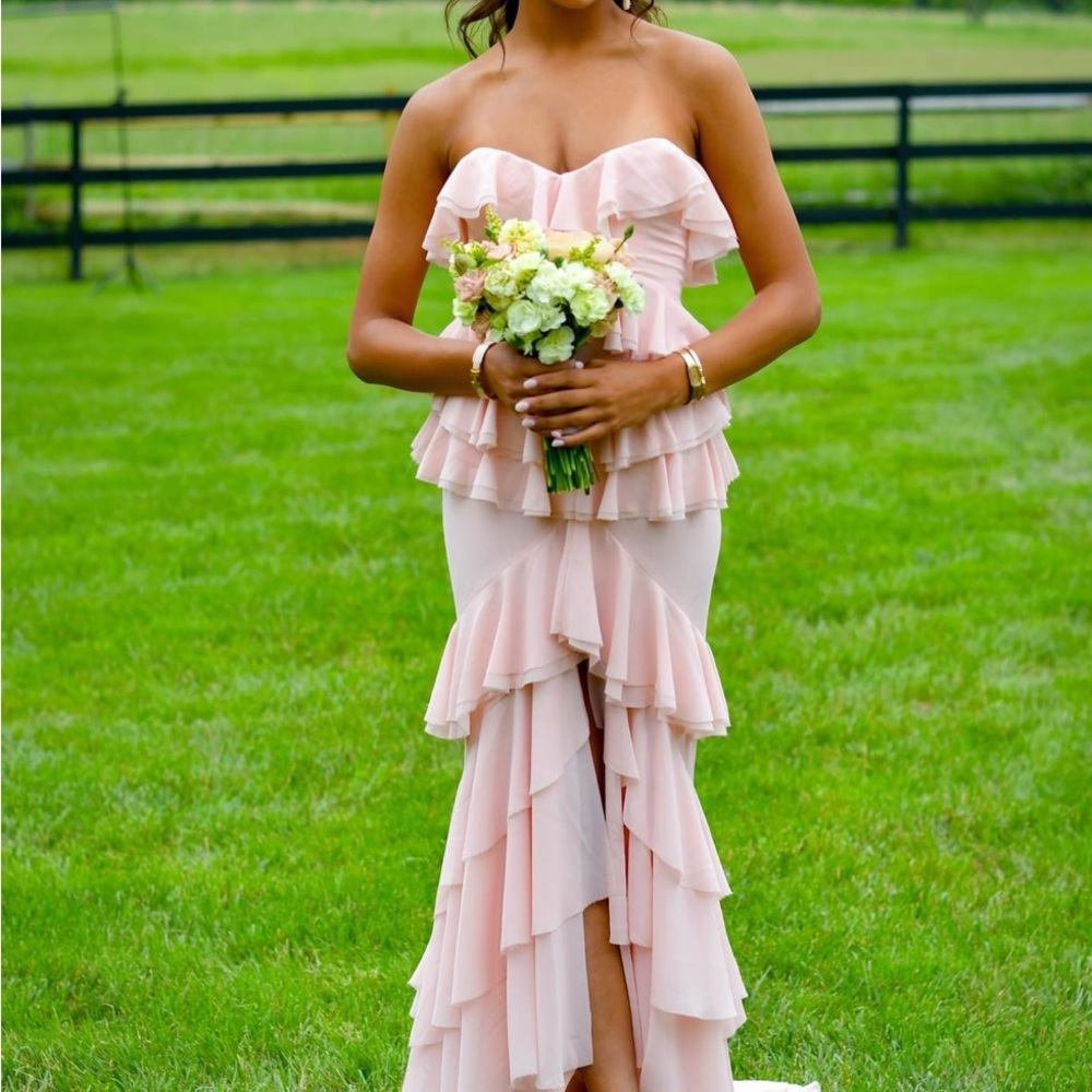 Michael Costello Oleksandra blush gown XXS!